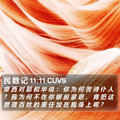 民 数 记 11:11 CUVS Bible Verse Image