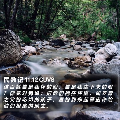 民 数 记 11:12 CUVS Bible Verse Image