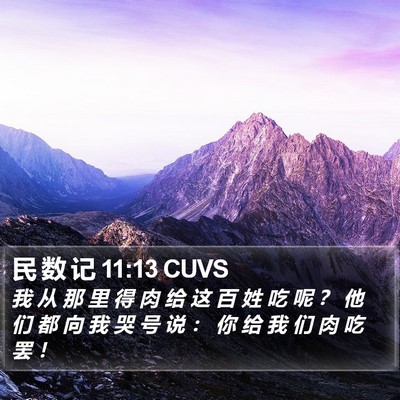 民 数 记 11:13 CUVS Bible Verse Image