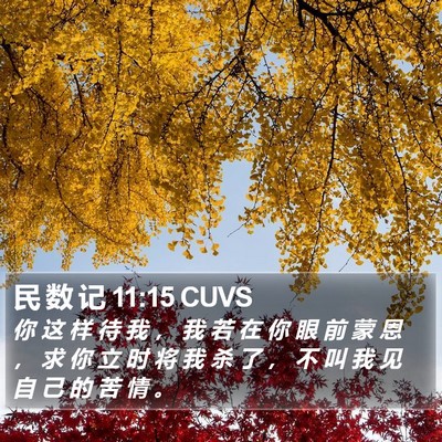 民 数 记 11:15 CUVS Bible Verse Image