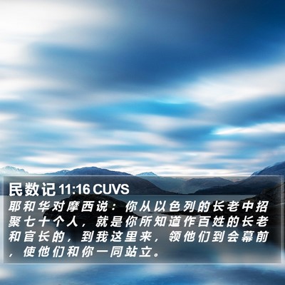 民 数 记 11:16 CUVS Bible Verse Image