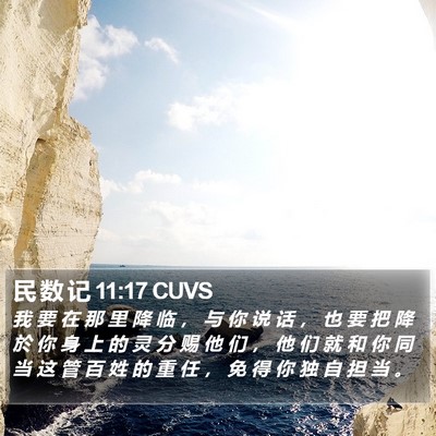 民 数 记 11:17 CUVS Bible Verse Image