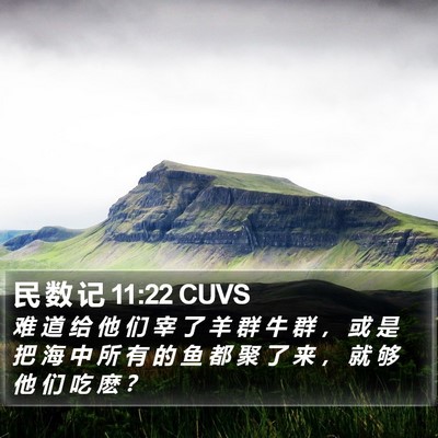 民 数 记 11:22 CUVS Bible Verse Image