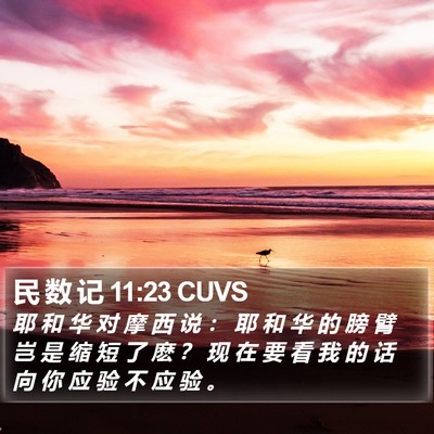 民 数 记 11:23 CUVS Bible Verse Image