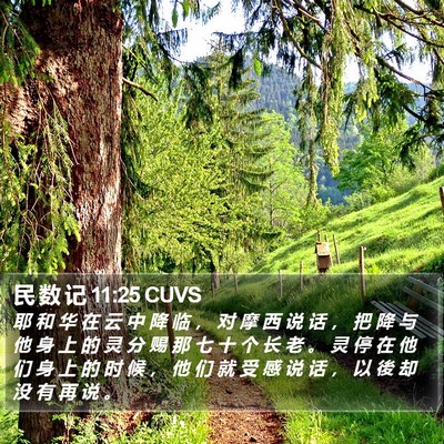 民 数 记 11:25 CUVS Bible Verse Image