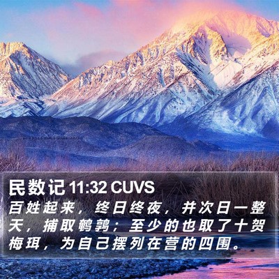 民 数 记 11:32 CUVS Bible Verse Image