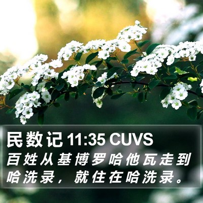 民 数 记 11:35 CUVS Bible Verse Image