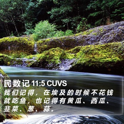 民 数 记 11:5 CUVS Bible Verse Image