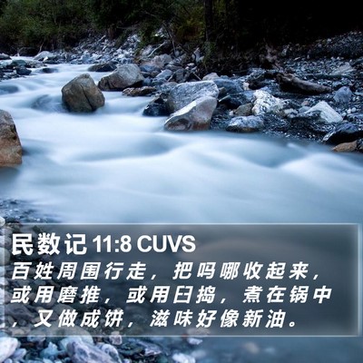 民 数 记 11:8 CUVS Bible Verse Image