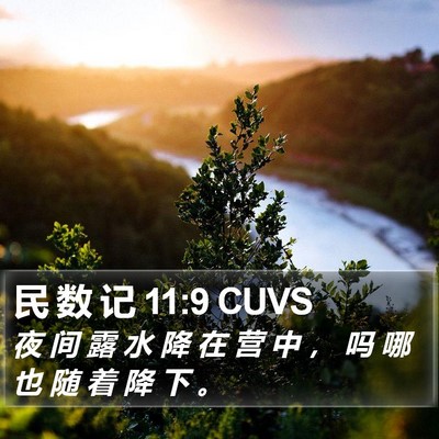 民 数 记 11:9 CUVS Bible Verse Image