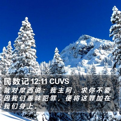 民 数 记 12:11 CUVS Bible Verse Image