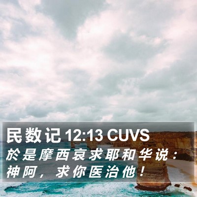 民 数 记 12:13 CUVS Bible Verse Image