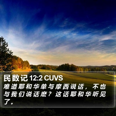 民 数 记 12:2 CUVS Bible Verse Image