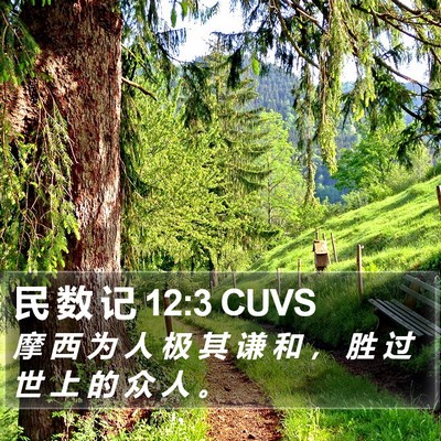 民 数 记 12:3 CUVS Bible Verse Image