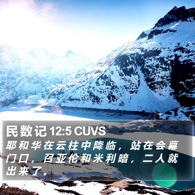 民 数 记 12:5 CUVS Bible Verse Image