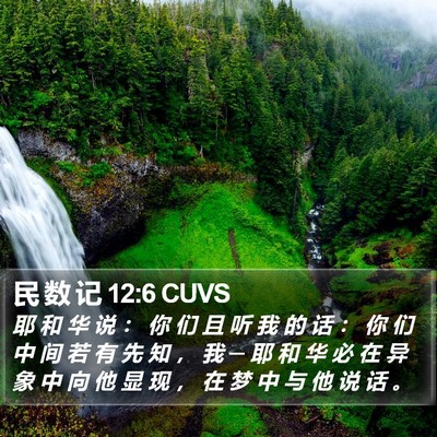 民 数 记 12:6 CUVS Bible Verse Image