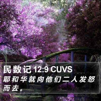 民 数 记 12:9 CUVS Bible Verse Image