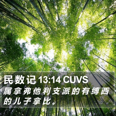 民 数 记 13:14 CUVS Bible Verse Image