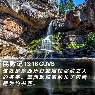 民 数 记 13:16 CUVS Bible Verse Image