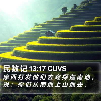民 数 记 13:17 CUVS Bible Verse Image