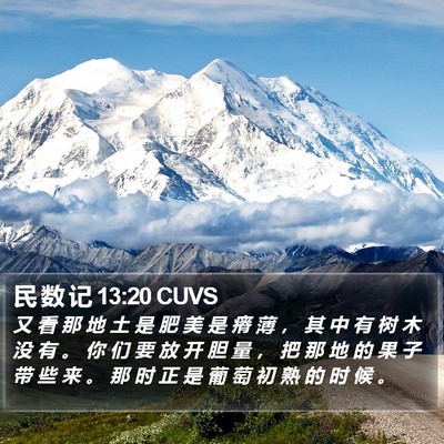 民 数 记 13:20 CUVS Bible Verse Image