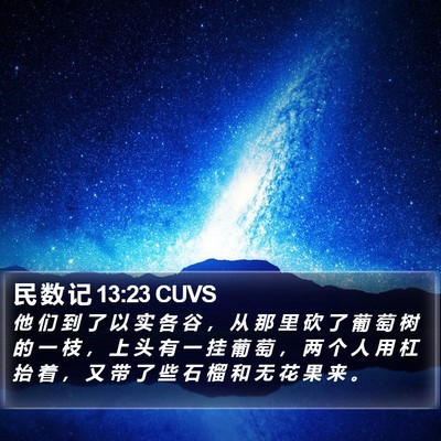 民 数 记 13:23 CUVS Bible Verse Image