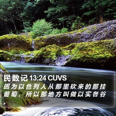 民 数 记 13:24 CUVS Bible Verse Image