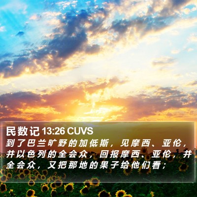 民 数 记 13:26 CUVS Bible Verse Image