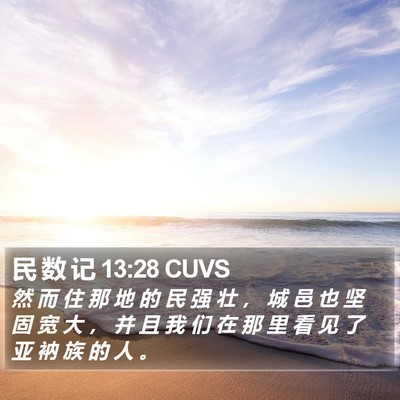 民 数 记 13:28 CUVS Bible Verse Image