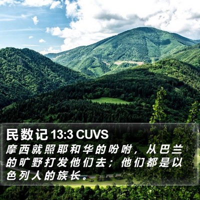 民 数 记 13:3 CUVS Bible Verse Image