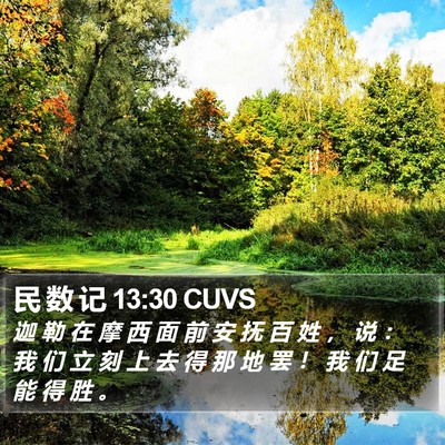民 数 记 13:30 CUVS Bible Verse Image