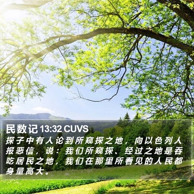 民 数 记 13:32 CUVS Bible Verse Image