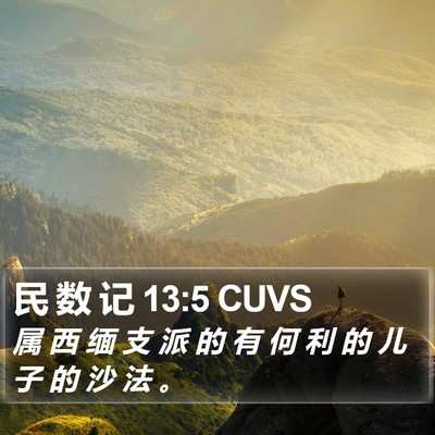 民 数 记 13:5 CUVS Bible Verse Image