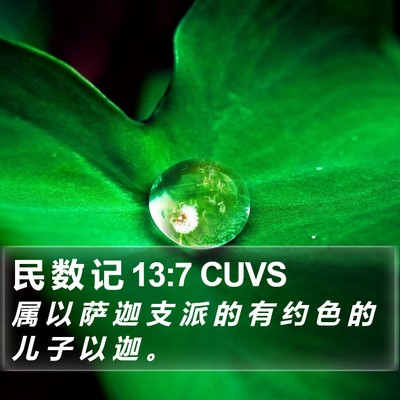 民 数 记 13:7 CUVS Bible Verse Image