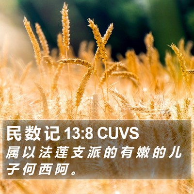 民 数 记 13:8 CUVS Bible Verse Image