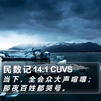 民 数 记 14:1 CUVS Bible Verse Image