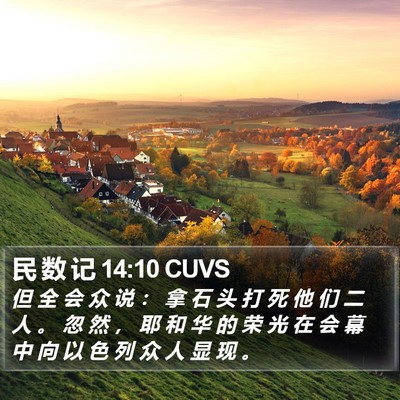民 数 记 14:10 CUVS Bible Verse Image