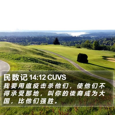 民 数 记 14:12 CUVS Bible Verse Image