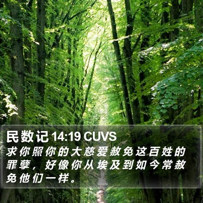 民 数 记 14:19 CUVS Bible Verse Image
