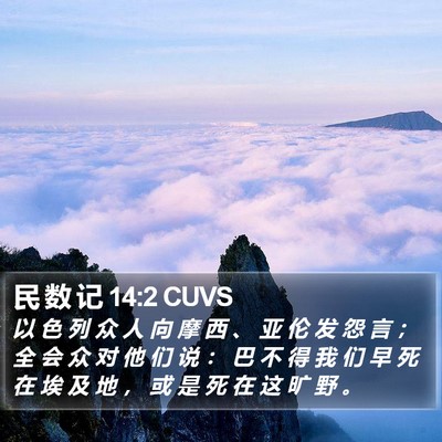 民 数 记 14:2 CUVS Bible Verse Image
