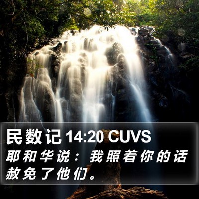 民 数 记 14:20 CUVS Bible Verse Image