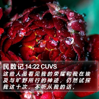 民 数 记 14:22 CUVS Bible Verse Image