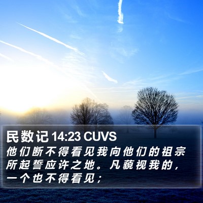 民 数 记 14:23 CUVS Bible Verse Image