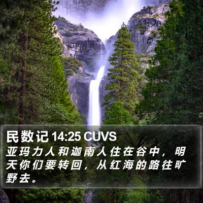 民 数 记 14:25 CUVS Bible Verse Image