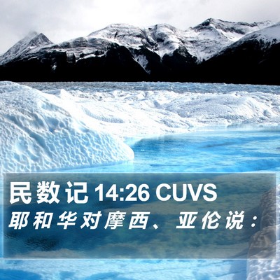 民 数 记 14:26 CUVS Bible Verse Image