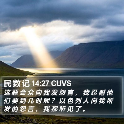 民 数 记 14:27 CUVS Bible Verse Image