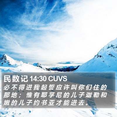 民 数 记 14:30 CUVS Bible Verse Image