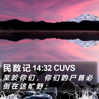 民 数 记 14:32 CUVS Bible Verse Image