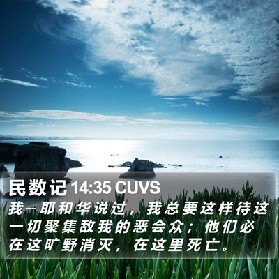 民 数 记 14:35 CUVS Bible Verse Image