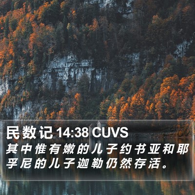 民 数 记 14:38 CUVS Bible Verse Image